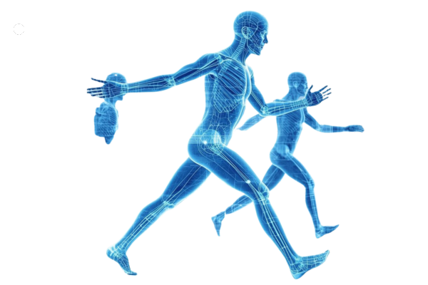 yogphysiorehab (2)
